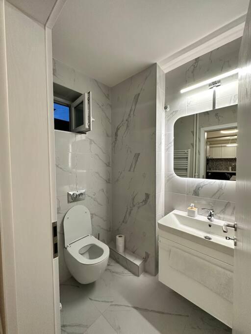 Ultracentral Luxury Apartament Temeşvar Dış mekan fotoğraf