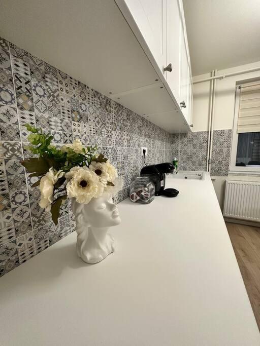 Ultracentral Luxury Apartament Temeşvar Dış mekan fotoğraf