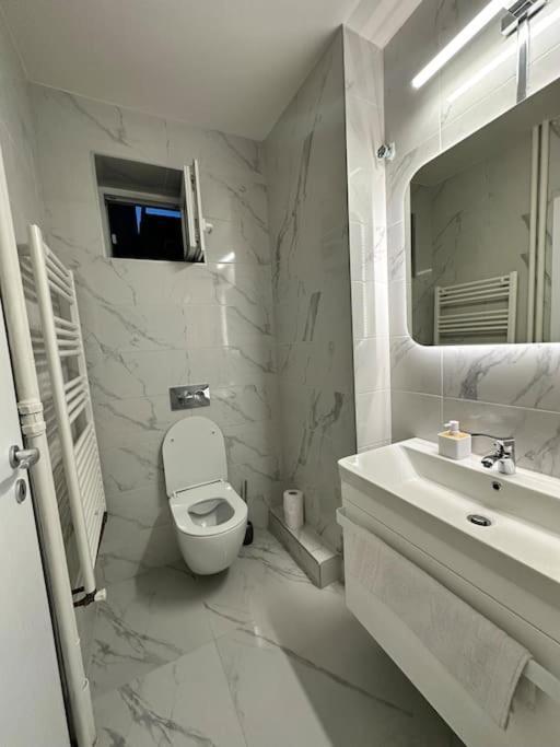Ultracentral Luxury Apartament Temeşvar Dış mekan fotoğraf